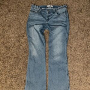 Hollister Light Blue bootcut jeans